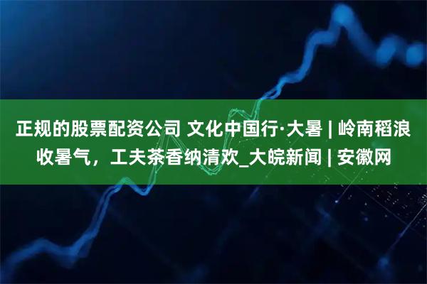 正规的股票配资公司 文化中国行·大暑 | 岭南稻浪收暑气，工夫茶香纳清欢_大皖新闻 | 安徽网